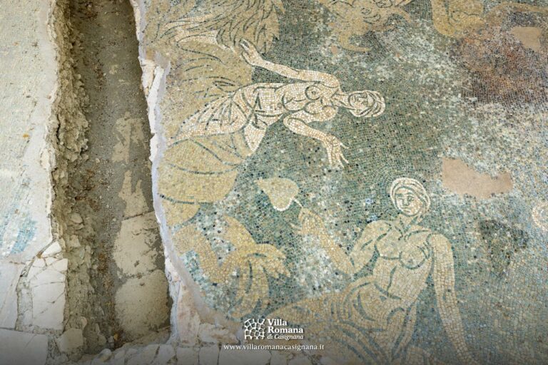 Galleria - Villa Romana di Casignana_16